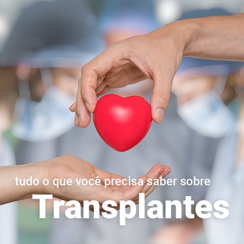 Tudo sobre Transplante
